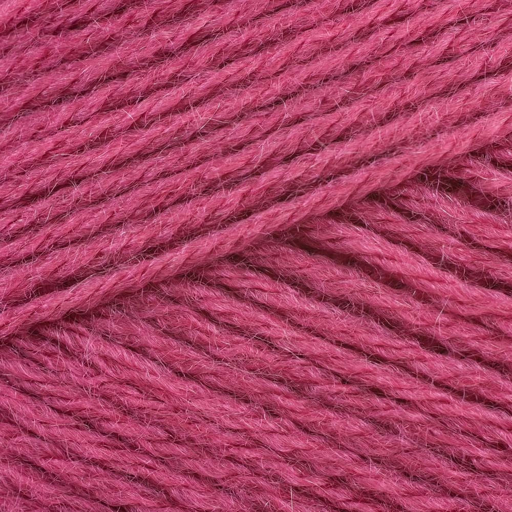 Raspberry (1023)