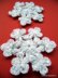 Snowflake Puff Stitch