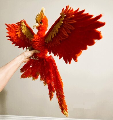 Adult phoenix