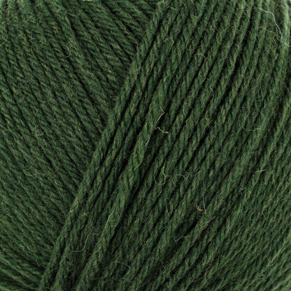 Seaweed (94)