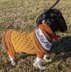 Stylin' Rescue Pup Sweater