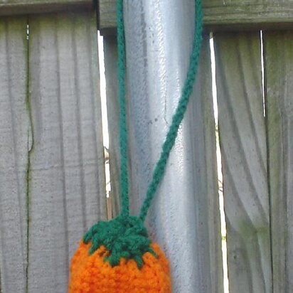 Pumpkin Necklace Purse