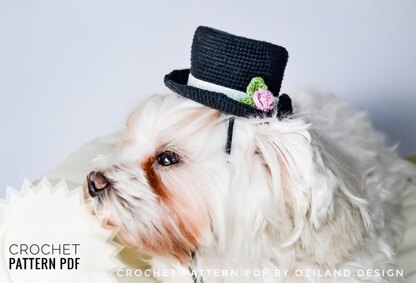 Wedding top hat for dog