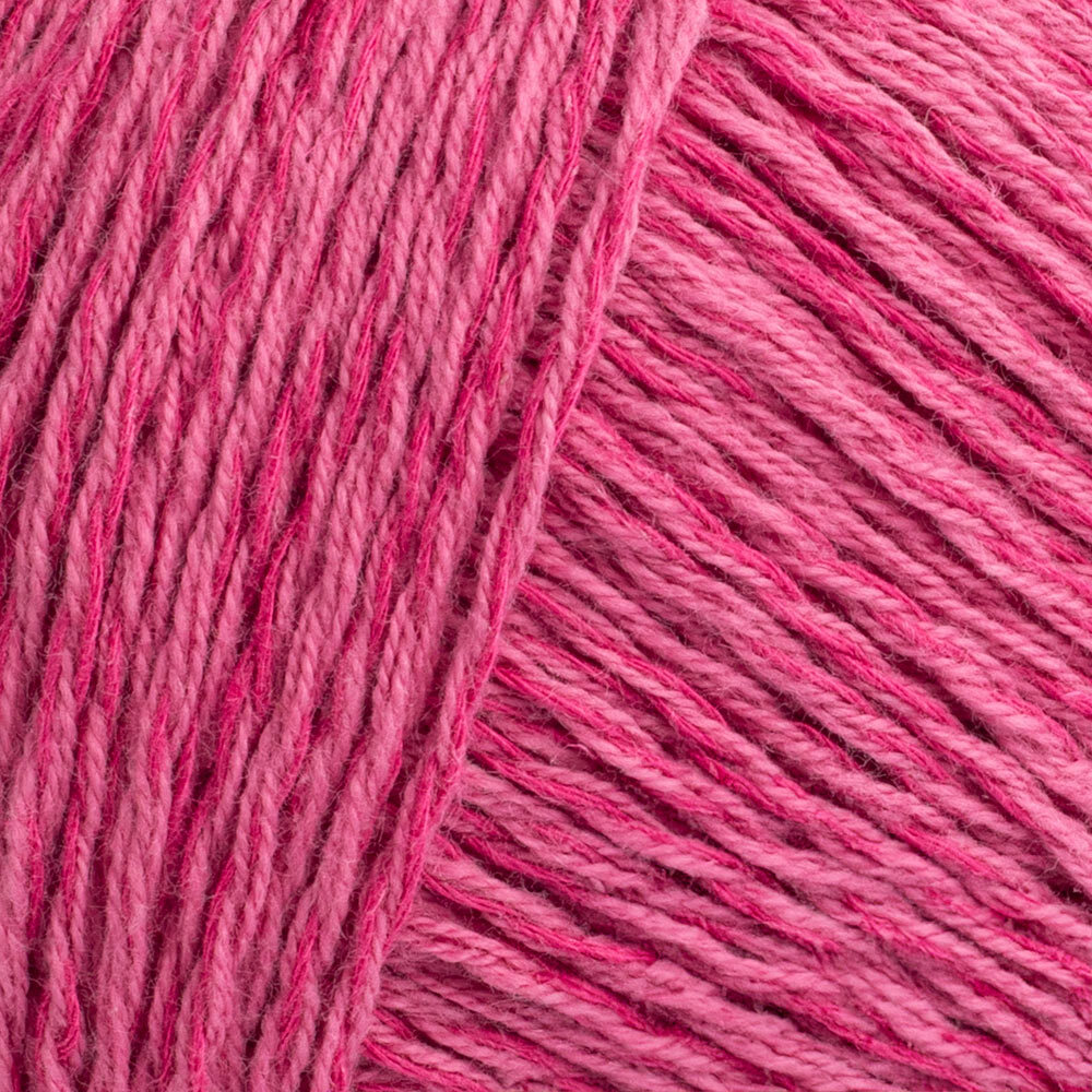 Raspberry (5241)