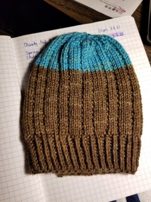 Spring Ahead Beanie - Charity Hat #79