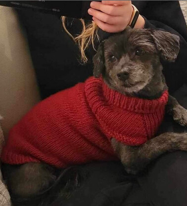 Another Izzy sweater christmas'23