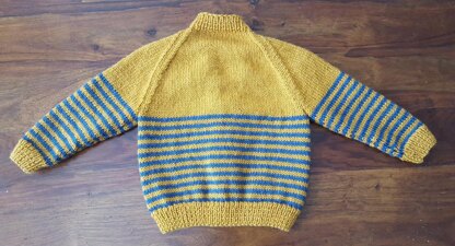 Juniper - 8ply raglan cardigan