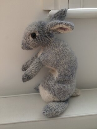 Grey Wild Rabbit