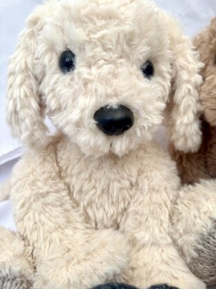 Willow the Puppy