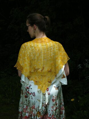 Sun bird shawl