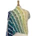 Lamina Cowl & Wrap