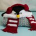 Hooded Penguin Blanket