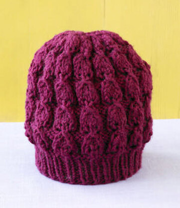 Plum Perfect Hat in Lion Brand Vanna's Choice - L0040