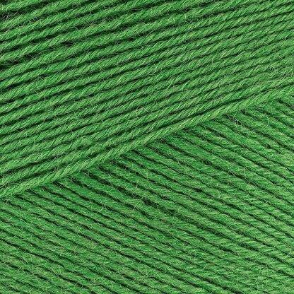 Chocolate Lime (395)