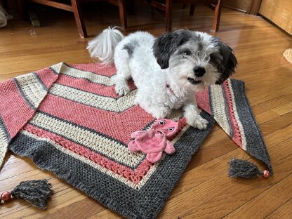 A Mother's Love Shawl