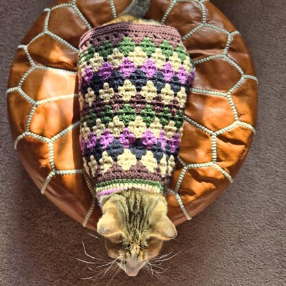 Diamond Striped Cat Sweater
