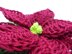 Crochet pattern decoration poinsettia in 2 versions - easy and decorative