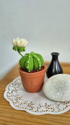 Cactus plant with flower