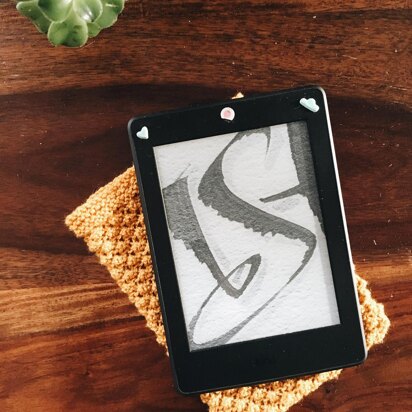 Raspberry Kindle Cover