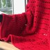 Modern Fancy Throw