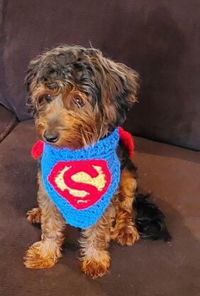 Super Pet Costume