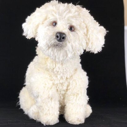 Maltese dog crochet pattern