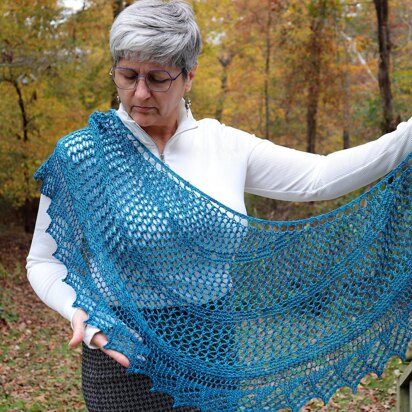 Meshing Around Shawl