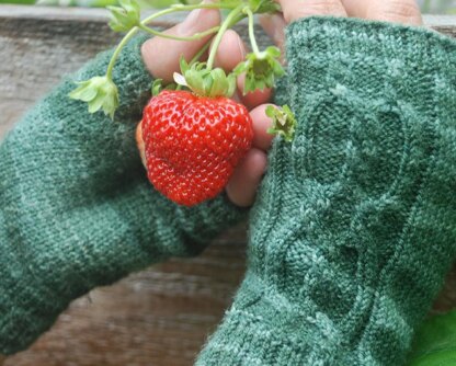 Stoloniferous Fingerless Mitts