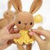 Little Ballerina Bunny