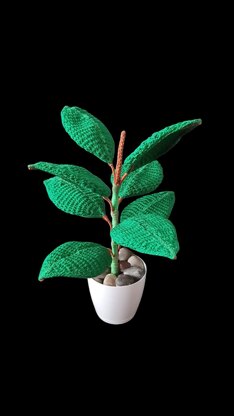 Crochet Rubber plant/Fig leaf