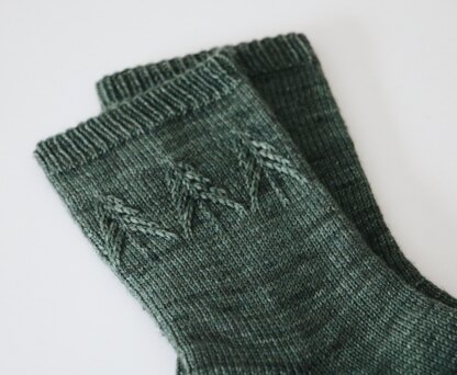 Spruce Socks
