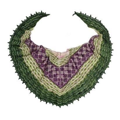 Caladenia Shawl