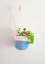 Frog Hanging Planter