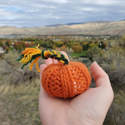 Little Knit Pumpkin Knitting Pattern