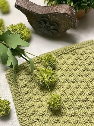 Stepping Stones Dishcloth