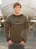 Riddari Sweater in LOPI Léttlopi
