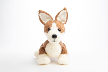 Deramores Pembroke Welsh Corgi PDF