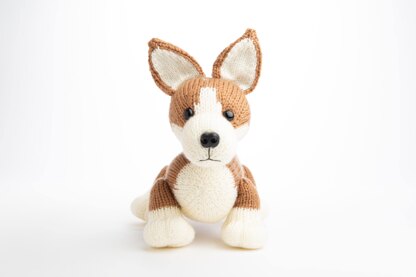 Pembroke Welsh Corgi in Deramores Studio DK - Downloadable PDF