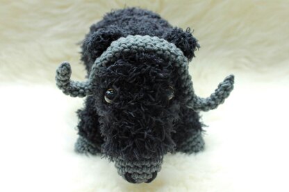 Marta the Musk Ox