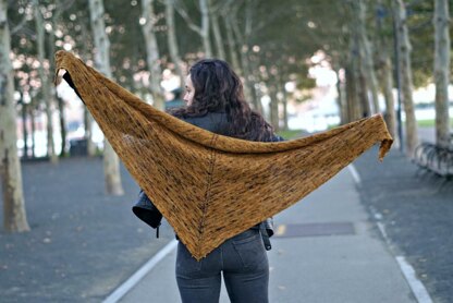 Harvest Moon Shawl