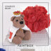 Charles Bear - Free Toy Knitting Pattern for Kids in Paintbox Yarns Cotton DK by Paintbox Yarns