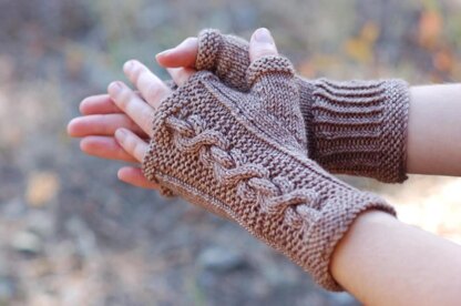 Farm to Market Mitts