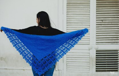 Gahare Shawl