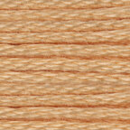 Anchor 6 Strand Embroidery Floss - 361