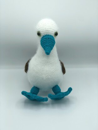 Bobby the Blue-footed Booby