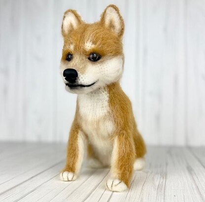 Shiba Inu Dog