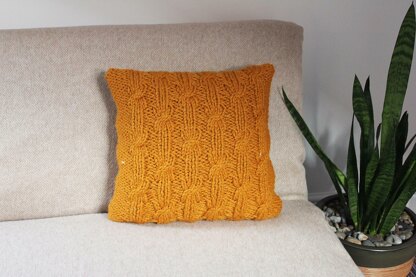 Butterscotch pillow cover