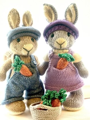 Elderberry Bunny and Outfits