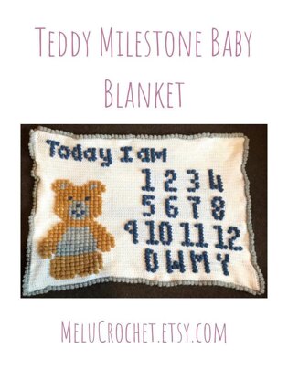Teddy Milestone Blanket