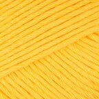 Buttercup Yellow (623)